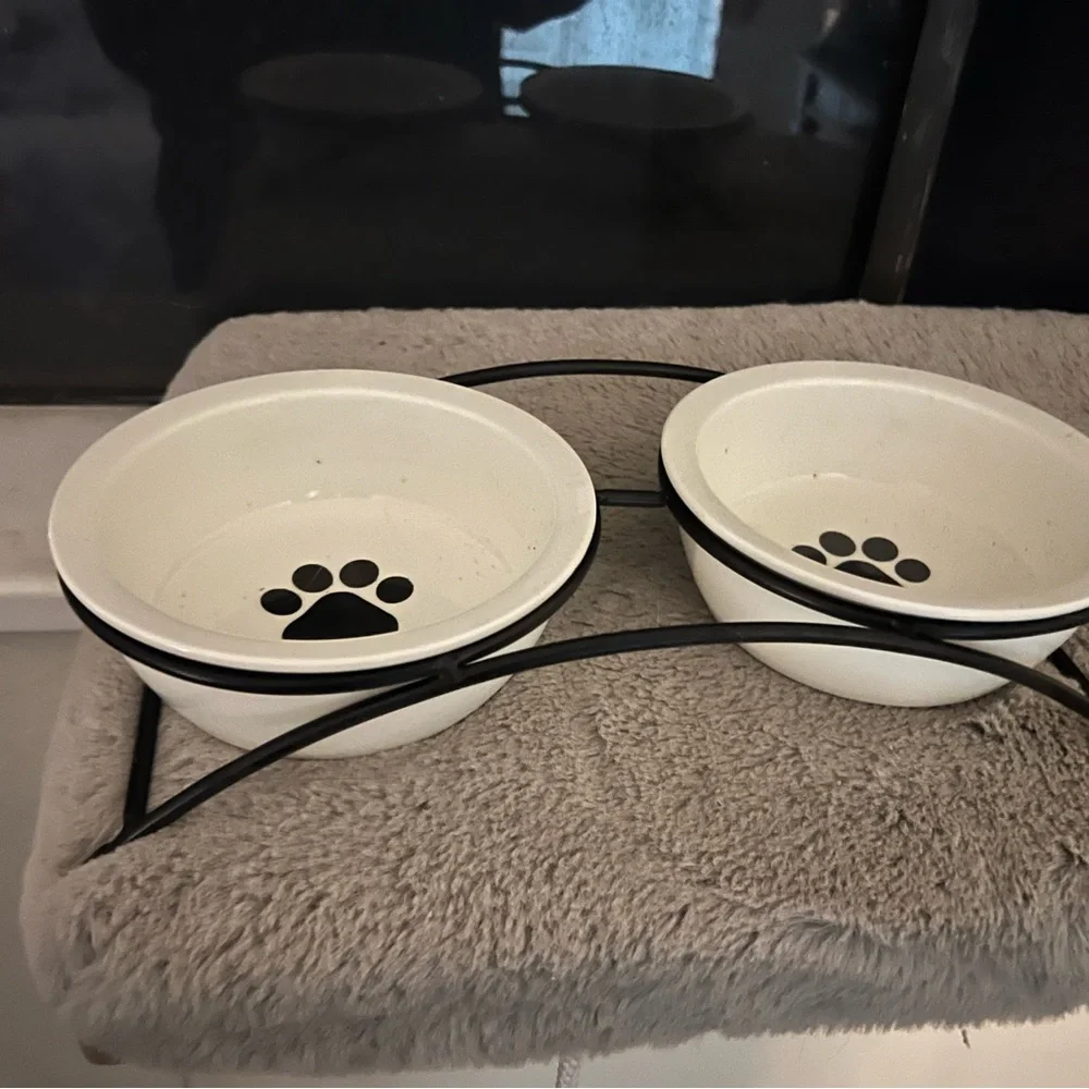Car bowls